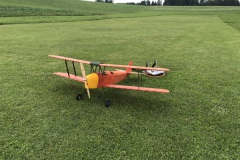 Tigermoth 1400mm